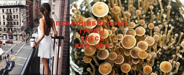 мет Баксан
