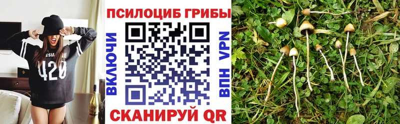 наркота  Каспийск  OMG рабочий сайт  Псилоцибиновые грибы мухоморы 
