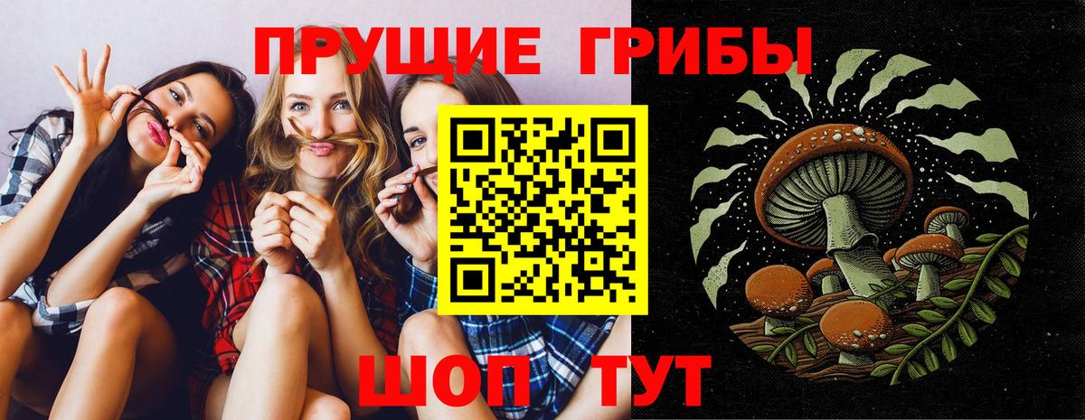 Псилоцибиновые грибы ЛСД Каспийск